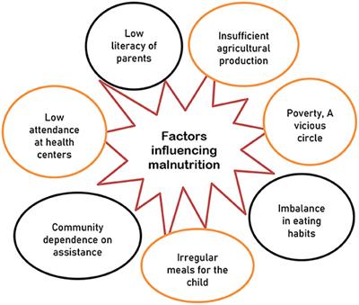 Smart Management of Malnutrition Using Local Foods: A Sustainable Initiative for Developing Countries